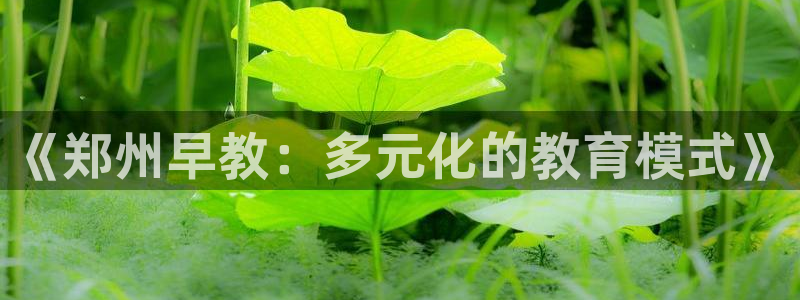 威九国际APP入口