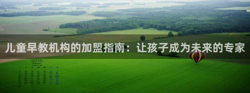 78m.ppt威九国际官网版：儿童早教机构的加盟指南：让孩子成为未来的专家
