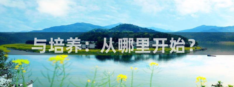 威九国际安全吗:与培养:从哪里开始?