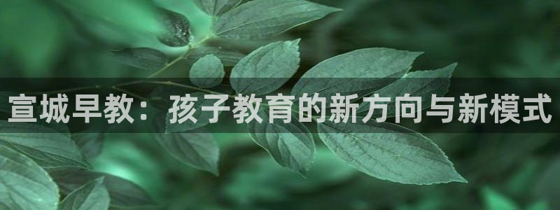 威九国际热舞：宣城早教：孩子教育的新方向与新模式