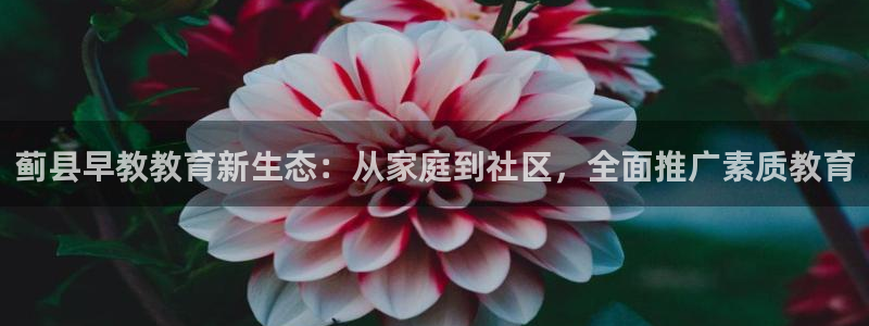 威九国际可以提现吗安全吗：蓟县早教教育新生态：从家庭到社区，全面推广素质教育