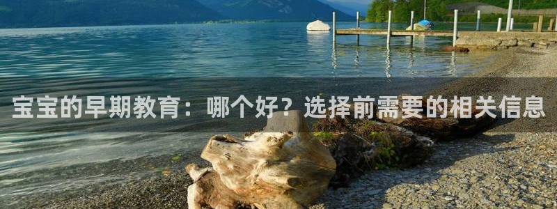 威九国际视频传媒招聘:宝宝的早期教育:哪个好?选择前需要的相关信息