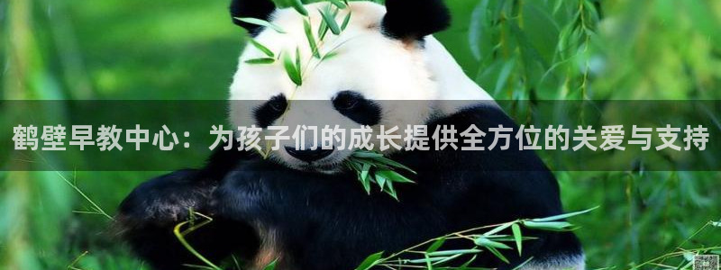 威九国际网站传媒：鹤壁早教中心：为孩子们的成长提供全方位的关爱与支持