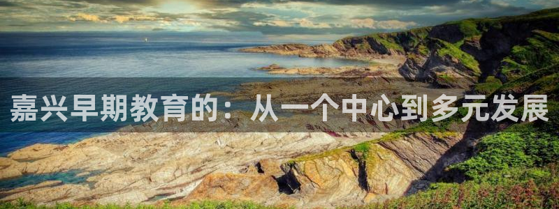 威九国际男演员:嘉兴早期教育的:从一个中心到多元发展
