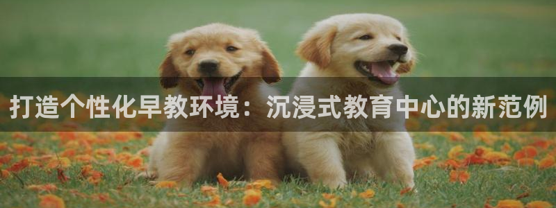 威九国际官网登录入口下载:打造个性化早教环境:沉浸式教育中心的新范例