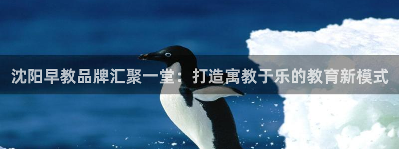 威九国际网站为什么不禁止：沈阳早教品牌汇聚一堂：打造寓教于乐的教育新模式