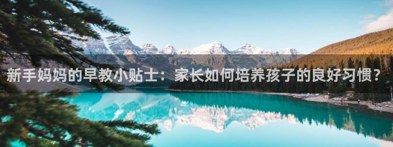 威九国际地址：新手妈妈的早教小贴士：家长如何培养孩子的良好习惯？