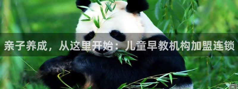 威九国际女主角：亲子养成，从这里开始：儿童早教机构加盟连锁