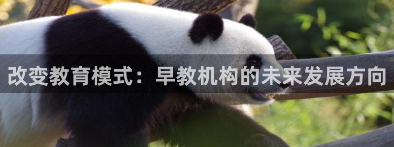 威九国际app大全下载安装：改变教育模式：早教机构的未来发展方向