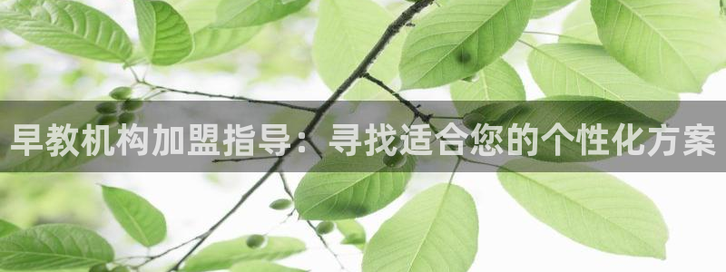 威九国际app客服电话：早教机构加盟指导：寻找适合您的个性化方案