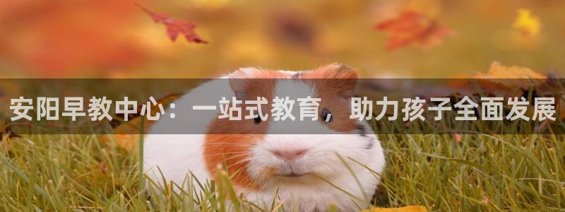 威九国际官网在线进入网站查询网址：安阳早教中心：一站式教育，助力孩子全面发展