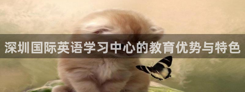 威九国际网站安全吗可靠吗：深圳国际英语学习中心的教育优势与特色