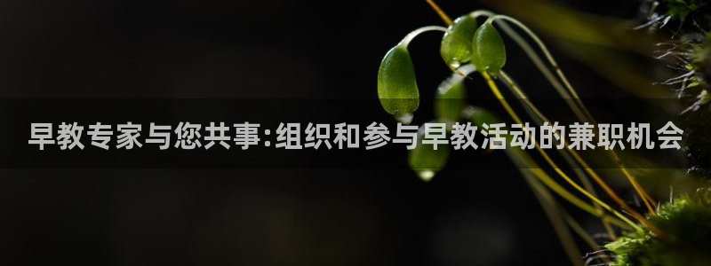 威九国际游戏app网址：早教专家与您共事:组织和参与早教活动的兼职机会
