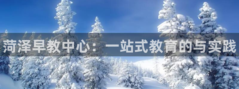 威九国际h5：菏泽早教中心：一站式教育的与实践
