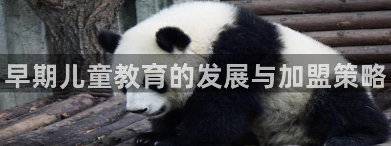 威九国际的演员：早期儿童教育的发展与加盟策略