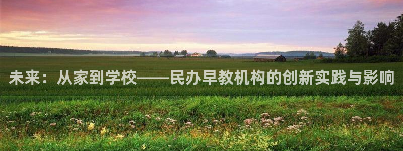威九国际网站进入产品中心怎么进：未来：从家到学校——民办早教机构的创新实践与影响