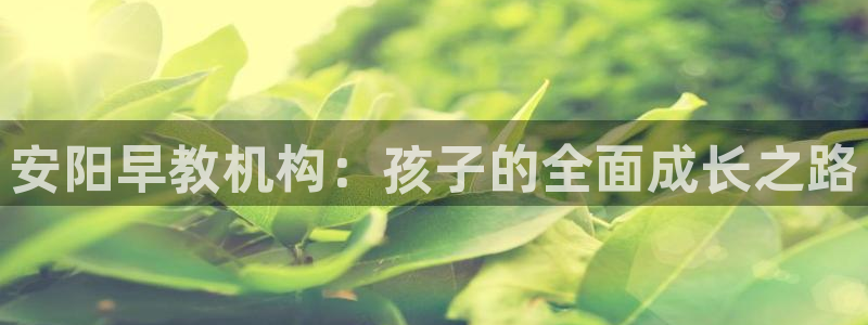 78.m威九国际官网版：安阳早教机构：孩子的全面成长之路