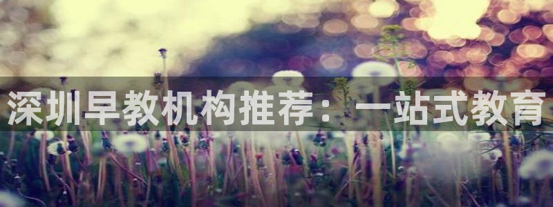 威九国际78mb：深圳早教机构推荐：一站式教育