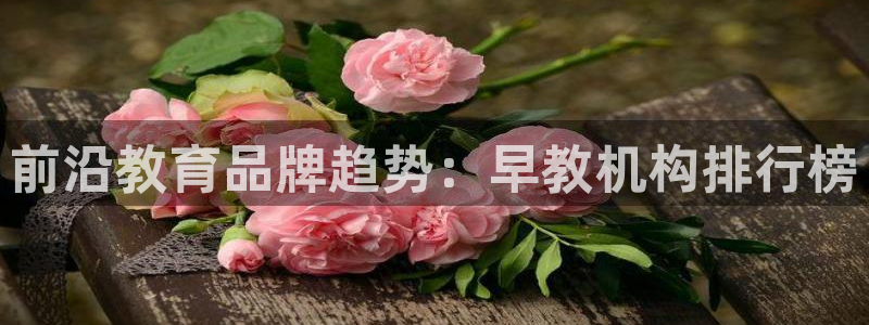 威九国际女主名字：前沿教育品牌趋势：早教机构排行榜
