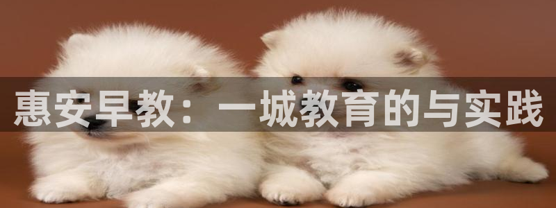 威九国际的金融服务：惠安早教：一城教育的与实践