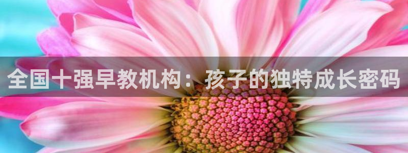 威九国际图片：全国十强早教机构：孩子的独特成长密码