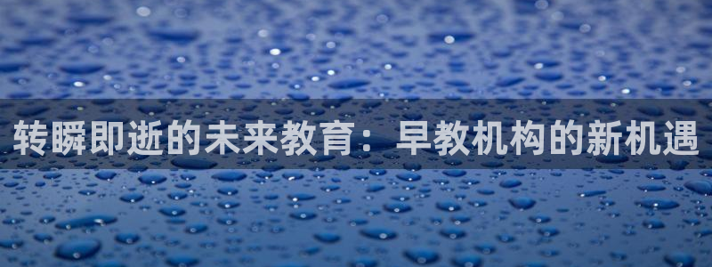 威九国际网站怎么样可靠吗：转瞬即逝的未来教育：早教机构的新机遇