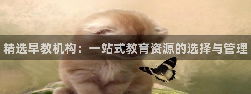 威九国际78mb游戏:精选早教机构:一站式教育资源的选择与管理