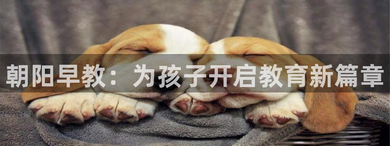 威九国际78mob游戏特色:朝阳早教:为孩子开启教育新篇章