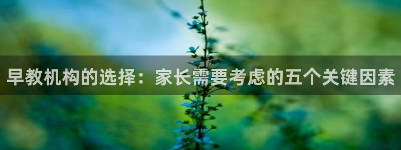 威九国际在哪里：早教机构的选择：家长需要考虑的五个关键因素