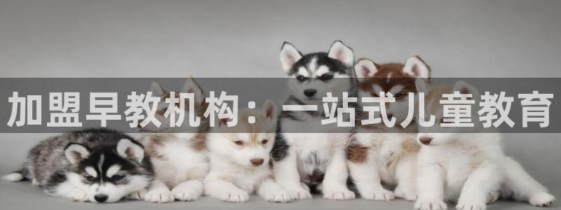 威九国际78mob网页：加盟早教机构：一站式儿童教育