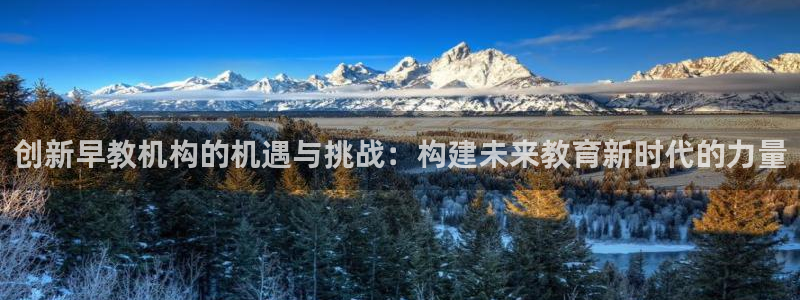 威九国际78m-MBA智库百科:创新早教机构的机遇与挑战:构建未来教育新时代的力