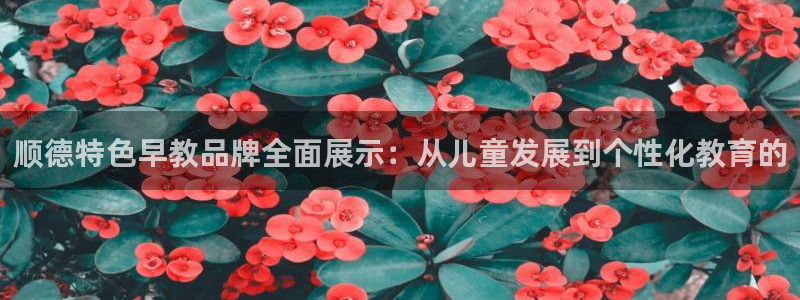 威九国际体育app下载：顺德特色早教品牌全面展示：从儿童发展到个性化教育的