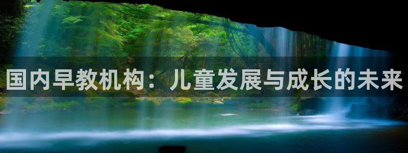 威九国际网站进入产品中心怎么进:国内早教机构:儿童发展与成长的未来