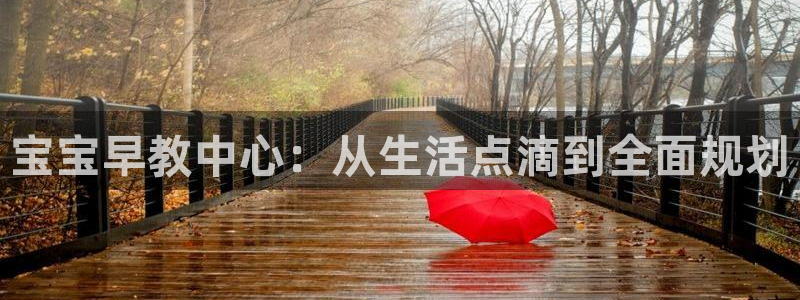 威九国际取款机怎么取:宝宝早教中心:从生活点滴到全面规划