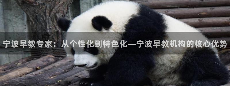威九国际FT：宁波早教专家：从个性化到特色化—宁波早教机构的核心优势