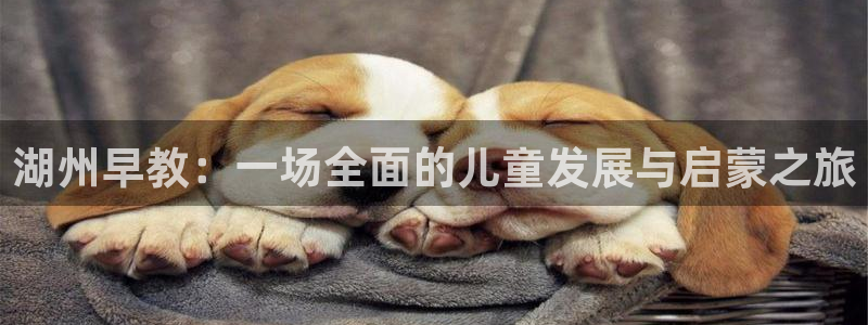 威九国际网站客服电话多少啊:湖州早教:一场全面的儿童发展与启蒙之旅