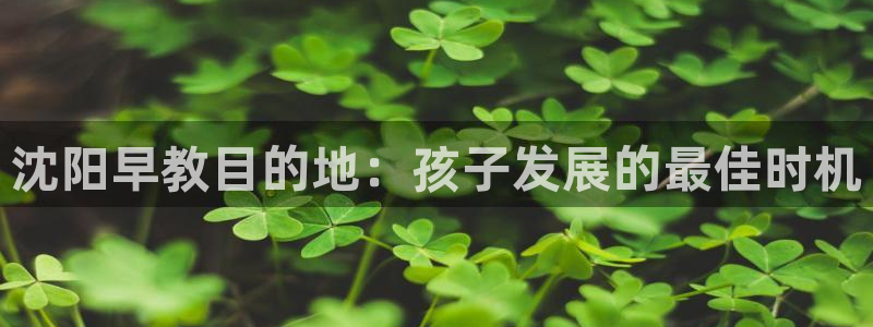 威九国际演员表：沈阳早教目的地：孩子发展的最佳时机