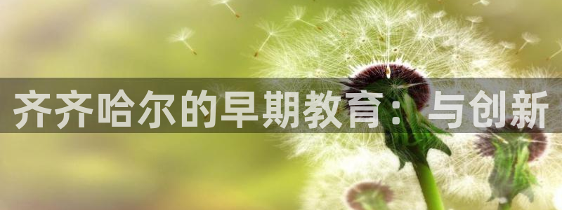 威九国际电视怎么样：齐齐哈尔的早期教育：与创新