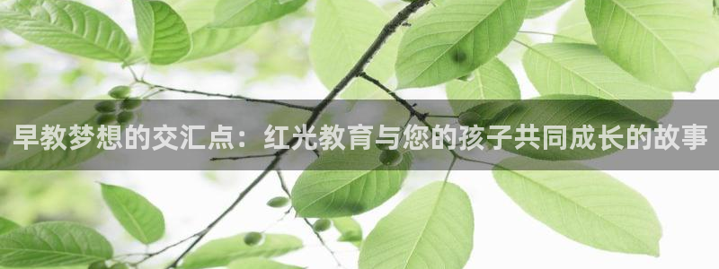 威九国际66视频：早教梦想的交汇点：红光教育与您的孩子共同成长的故事