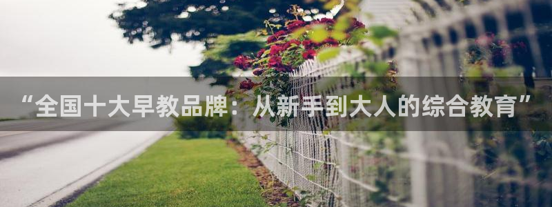 威九国际FF：“全国十大早教品牌：从新手到大人的综合教育”