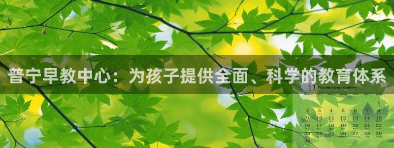 威九国际78mb下：普宁早教中心：为孩子提供全面、科学的教育体系
