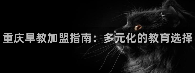 78.m威九国际官网版：重庆早教加盟指南：多元化的教育选择