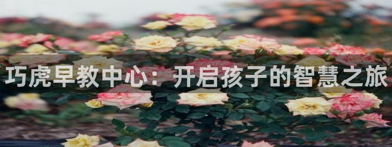 威九国际可以提现吗是真的吗：巧虎早教中心：开启孩子的智慧之旅