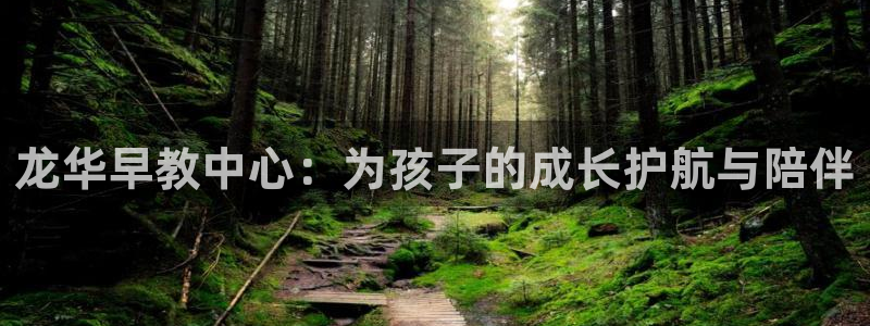 威九国际网站进入公司不断创新：龙华早教中心：为孩子的成长护航与陪伴