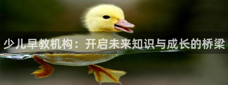 威九国际官网登录入口：少儿早教机构：开启未来知识与成长的桥梁