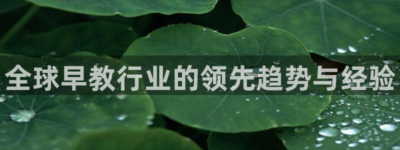 66m成长模式视频威九国际视频：全球早教行业的领先趋势与经验