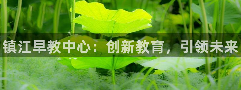 威九国际狂飚电影：镇江早教中心：创新教育，引领未来