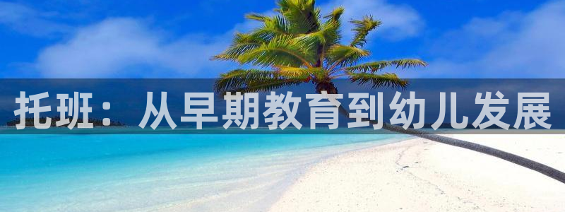 威九国际w98:托班:从早期教育到幼儿发展