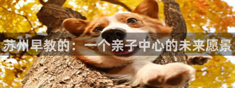 威九国际66m66m：苏州早教的：一个亲子中心的未来愿景