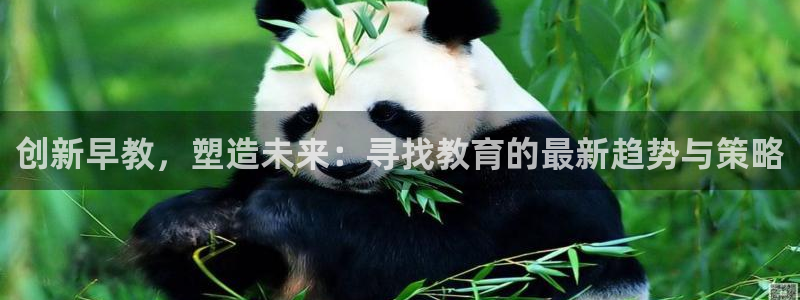 威九国际女艺人：创新早教，塑造未来：寻找教育的最新趋势与策略
